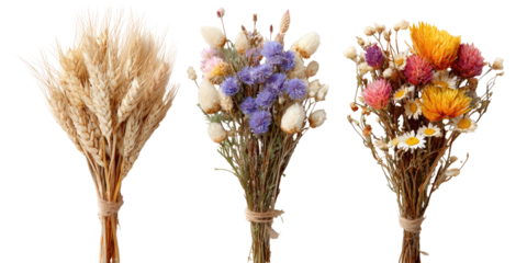 Three dried flower bouquets in beige, purple/blue, and mixed colors