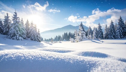 Obraz premium Snowy Fir Trees in Bright Winter Landscape with Blue Sky