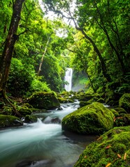 Obraz premium Lush waterfall cascading through a verdant jungle