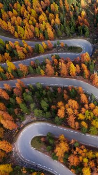Izoard Pass (Col d'Izoard) and hairpin turns of the famous road D902 (aerial view). Autumn and larch tree forest in Hautes-Alpes, Alps, France
