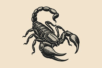 Scorpion engraving style black and white sketch vector illustration