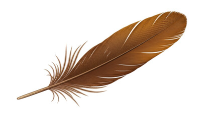 Isolated graceful brown feather lies diagonally, with detailed texture and elegance