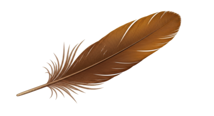 Isolated graceful brown feather lies diagonally, with detailed texture and elegance