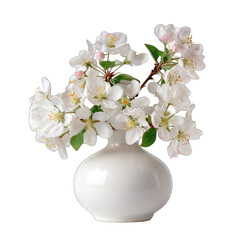 White vase filled with delicate, blossoming apple blossoms