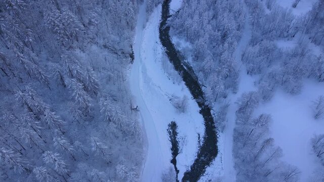Aerial view of ravine in frozen forest. Cross-country ski trail in Vallouise Valley. Winter in Ecrins National Park. Hautes-Alpes (Alps) France
