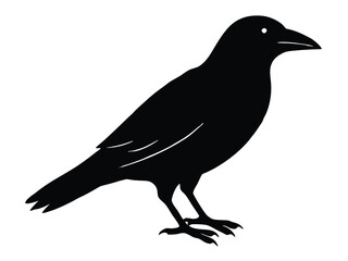 Fototapeta premium black crow silhouette icon design on white background