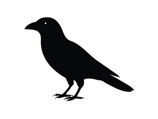 Fototapeta premium crow silhouette icon design on white background