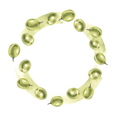 Fresh green grapes watercolor wreath template. Hand drawn isolated round frame with grape fruits, summer muscat berries for label, logo, packing design