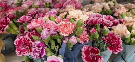 Fototapeta premium A closeup shot of carnation flowers on a blurred background 