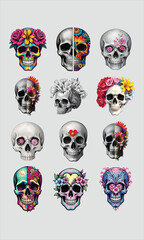 Intricate artistic skull designs featuring floral accents and vibrant color splits