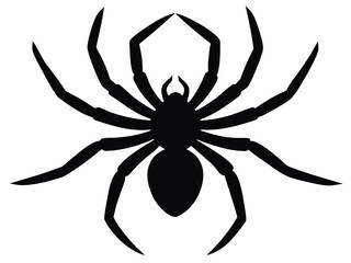 spider silhouette icon design on white background
