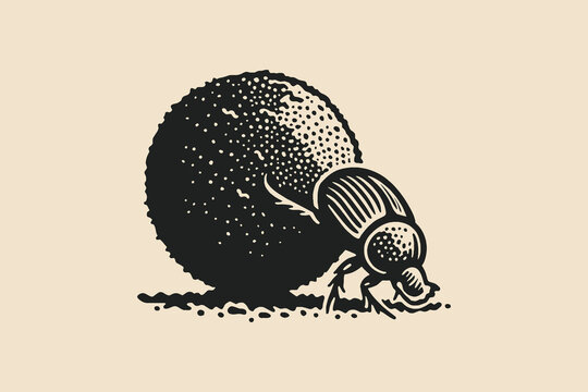 Dung beetle engraving style black and white sketch vector illustration