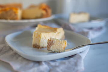 Homemade New York style cheesecake on white plate