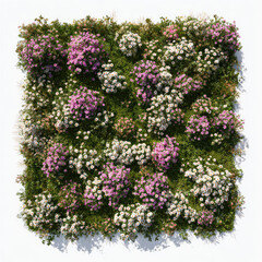Fototapeta premium Flowering grassland with pink and white blossoms in spring