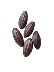 Obraz premium A small cluster of dark roasted cocoa beans isolated on a transparent background for culinary use isolated on transparent background