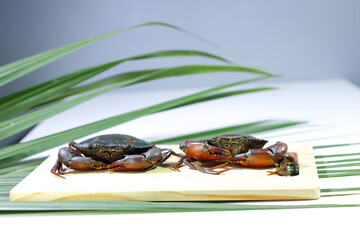 Two Mud Crabs on a Wooden Cutting Board with Nipa Palm Leaves