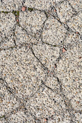 A close-up of a rough, concrete surface with exposed pebbles, cracks, and traces of moss