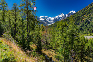 Blick auf den Piz Bernina bei klarer Bergluft