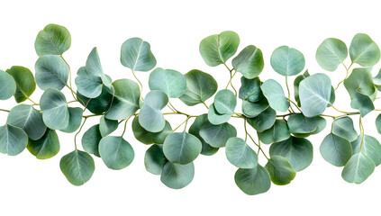 Green leaf pattern background, botanical hand painted foliage, nature inspired minimal isolated leaves, elegant spring summer texture for card or design