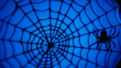 Silhouette of a spider descending on Halloween night