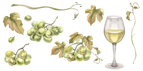 White wine glass and grapes bunches watercolor collection. Isolated elements of fresh green grapes, berries and floral parts. Summer fruits for juice and Italian wine ingredients clipart for design