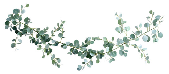 Fototapeta premium Eucalyptus branch watercolor illustration, botanical hand painted green leaves, elegant nature inspired foliage for decorative design, card or invitation
