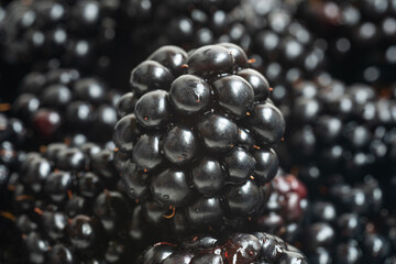 blackberry close up