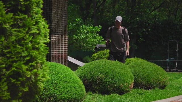 Gardener using professional leaf blower to clear foliage from shrubs and plants. Essential landscape maintenance for pristine garden design.