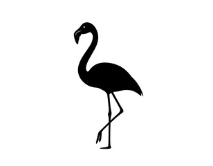 Fototapeta premium Black silhouette of a flamingo (1)