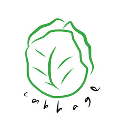 cabbage leaf icon