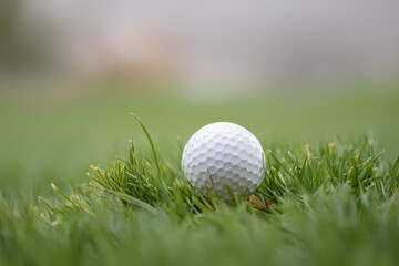 pristine setting emphasizing golf ball resting elegantly on lush green surface