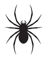 Spider Icon Design White Background
