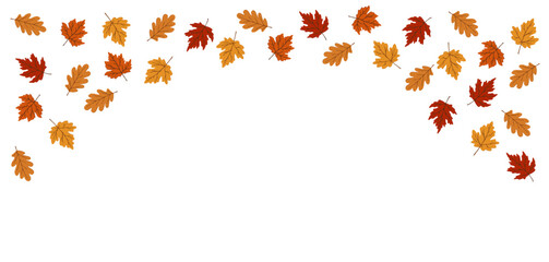 Colorful autumn leaves isolated on transparent background. Falling orange, red and yellow oak maple foliage. Decorative natural border overlay, clipart. Seasonal banner, Thanksgiving, Halloween design
