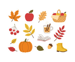 Autumnal seasonal elements of plants, vegetable and fruit with colorful leaves. Fall flat graphic design for seasonal greeting harvest festival. Vector illustration