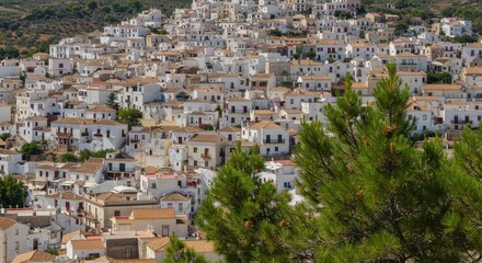 Obraz premium Dense Hillside Village with White Houses and Terracotta Roofs Framed by Pine Trees