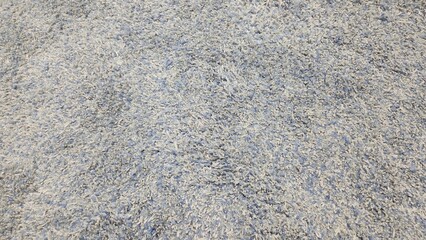 Blue White Silver Carpet, Blue White Silver Carpet Texture, Carpet Texture, Carpet Background, Simple Background