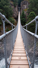 Fototapeta premium Stunning suspension bridge stretches across deep gorge, surrounded by lush greenery and rocky cliffs. wooden pathway invites adventure