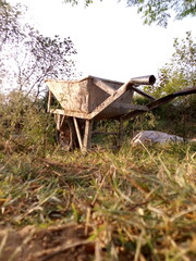 Handcart in farm