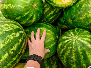 Hand reaching out to touch ripening watermelons stacked in a grocery display during summer harvest season