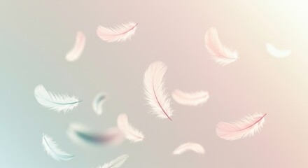 Gentle Floating Feathers on Soft Gradient Background, Symbolizing Lightness and Serenity, airy