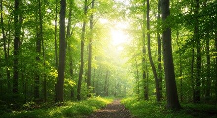 Obraz premium animescreencap,1girl,fullbody, girlfriend at a lively nighttime Halloween fair, long straight shiny beige hair, wearing a cute black cat-ear headband with small ribbon, white frilly blouse, short oran