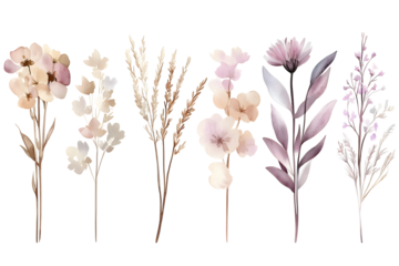 Dried neutral wildflower stems set, watercolor hand painted botanical collection, beige brown lilac neutral floral elements for minimal card, design or invitation

