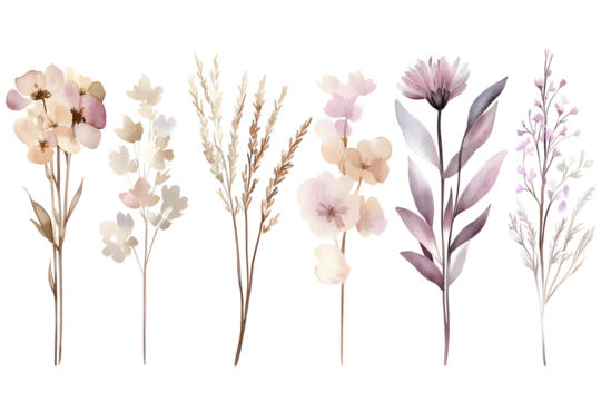 Dried neutral wildflower stems set, watercolor hand painted botanical collection, beige brown lilac neutral floral elements for minimal card, design or invitation

