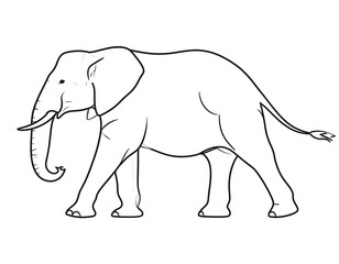 Fototapeta premium Simple black and white line drawing of an elephant