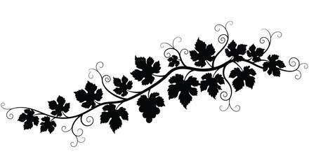Decorative black grape vine with leaves silhouette for elegant design elements and natural motifs isolated on white background