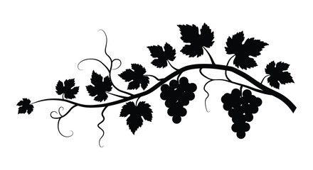 Silhouette of a grapevine with clusters and leaves symbolizing nature and harvest isolated on white background © mrvect02