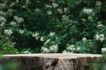 Wood podium stand with white flower green tropical forest nature background.natural product pedestal wooden table top display.jungle paradise concept.