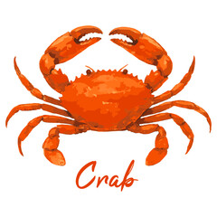crab in watercolor illustration style, isolated vector on white background