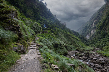 A winding trail through lush greenery leads the way to the mighty Gocta Waterfalls. Each step along this serene path invites travelers deeper into the heart of the Amazonas region.