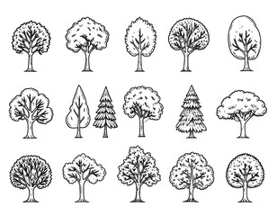 A collection of diverse tree illustrations, rendered in meticulous line art, showcasing various shapes and types of trees.